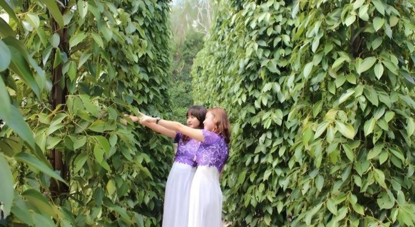 Pepper Farm Phu Quoc Bungalow Buitenkant foto