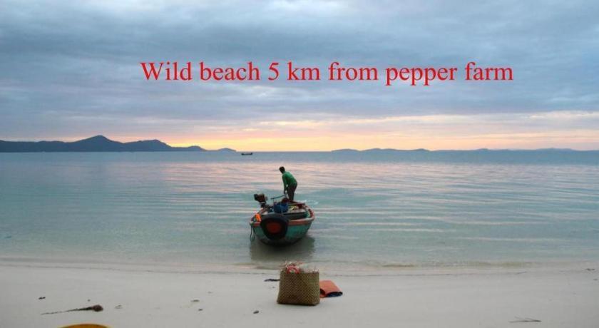 Pepper Farm Phu Quoc Bungalow Buitenkant foto