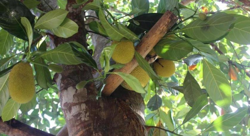 Pepper Farm Phu Quoc Bungalow Buitenkant foto
